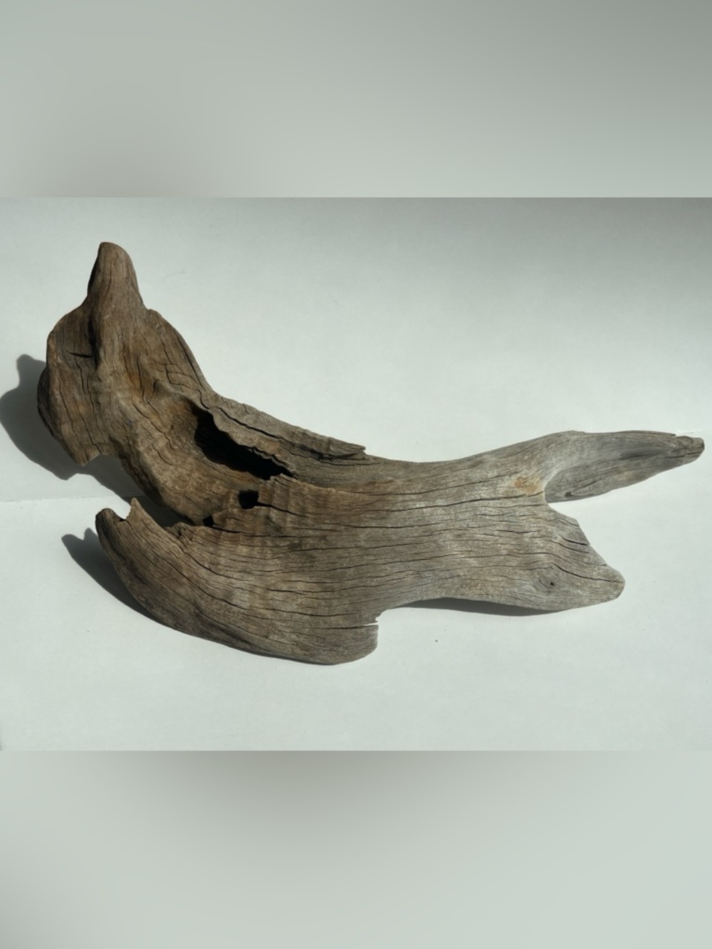 Natural Driftwood For Aquarium Succulent Floral Table Setting 14” Long, 8” Wide - Picture 3 of 5